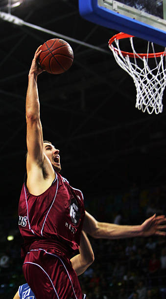 理比尔合同 理比尔合同